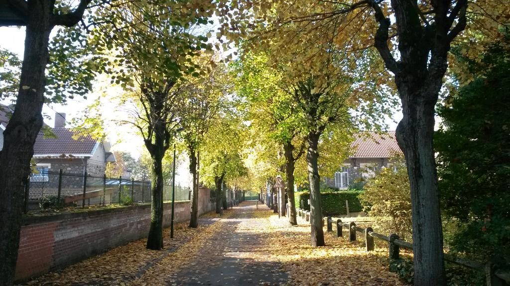 Les Gites De L'Ecole Buissonniere Lens Bagian luar foto